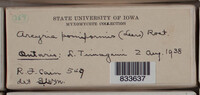 Image Associated With the Occurence